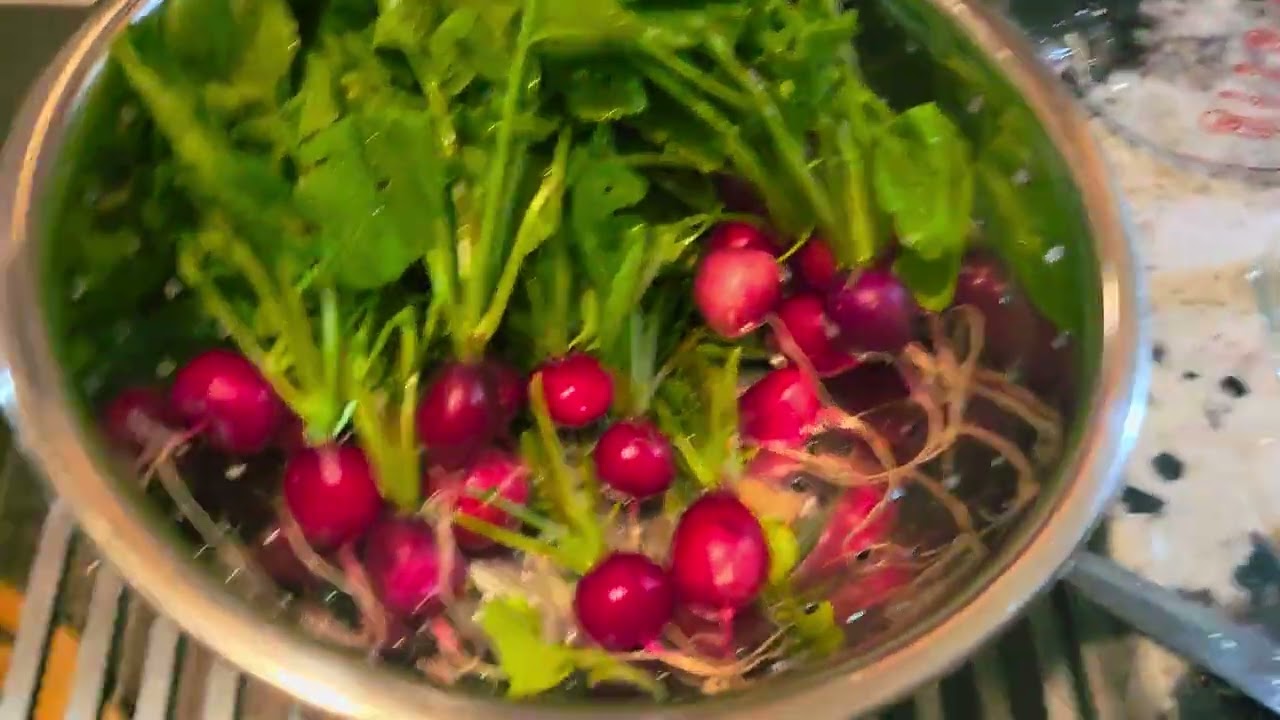 Grow Fresh Eat the Best