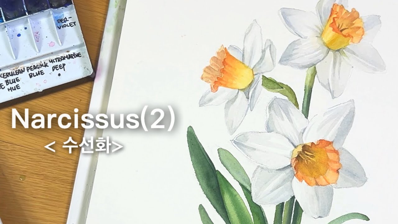 [중급] 수채화수선화(2)/Real-time Full watercolor painting process/ Narcissus
