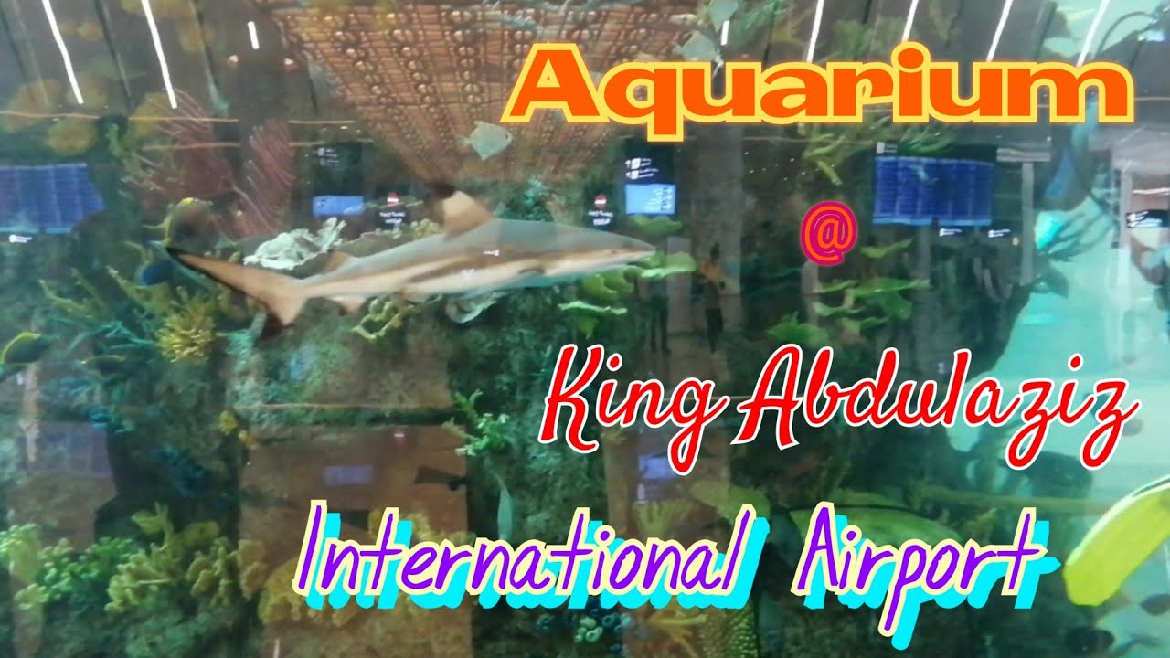 The Aquarium at King Abdulaziz International Airport Jeddah, KSA