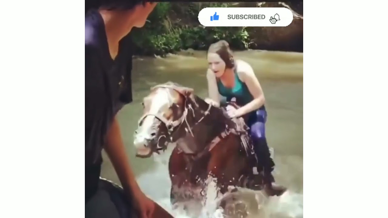 Horse Rider 🐴 failure #shorts #youtubrshorts #horse #failure #animallover #animal #zoo #rider