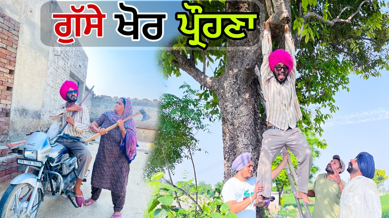 ਪ੍ਰੌਹਣਾ ਡਿੱਗਿਆ ਜਾਮਣ ਤੋ 🤣 । ਵਾਲੀ ਅੱਤ ਚੱਕੀ ਸੀ ਇਹ ਬੰਦੇ ਨੇ । Latest punjabi comedy video 2024