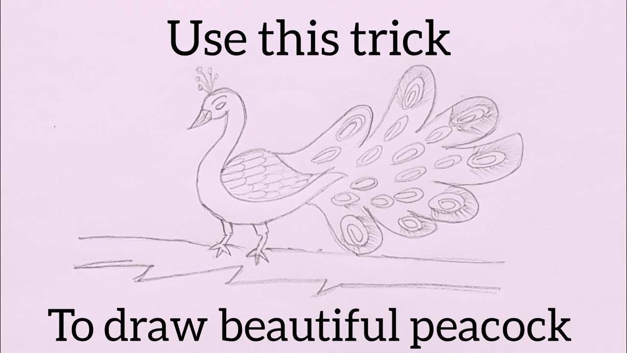 # How to draw peacock step by step for beginners 