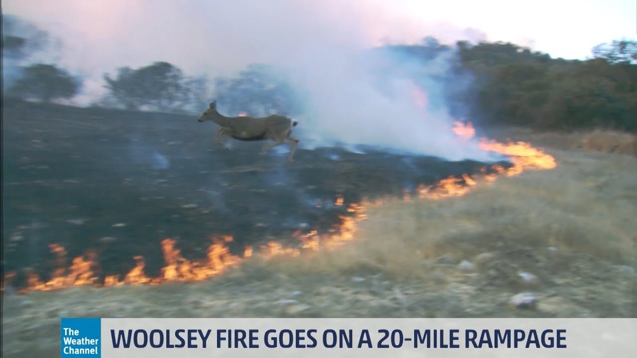California Wildfire Burns From Mountains To Ocean
