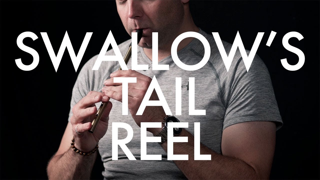 Tin Whistle and Irish Flute - Swallow's Tail Reel