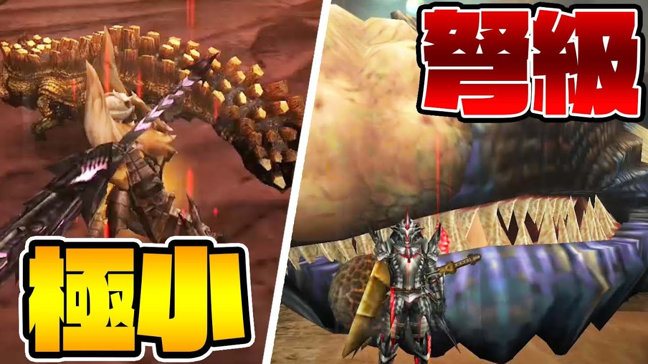 世界一大きいハプルボッカ＆世界一小さいガンキン-PART41-【モンスターハンター3rd】