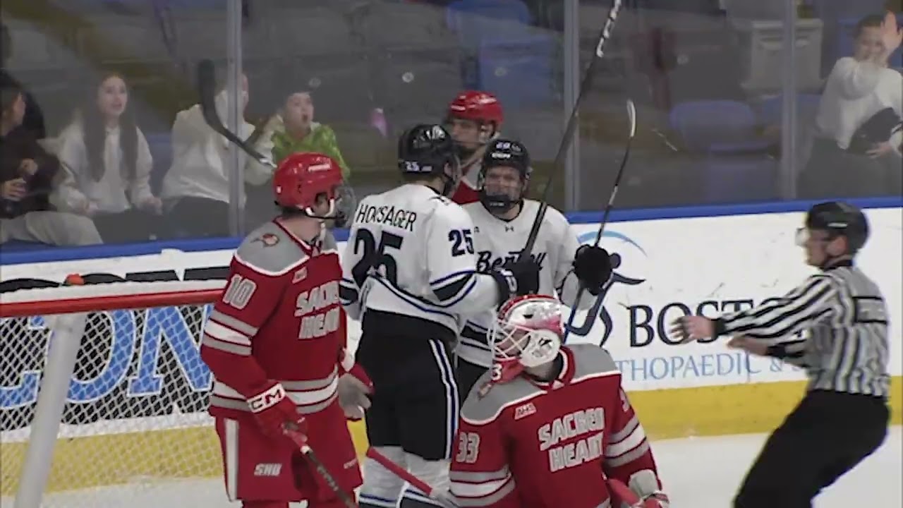 Hockey vs. Sacred Heart (2/14/2026)
