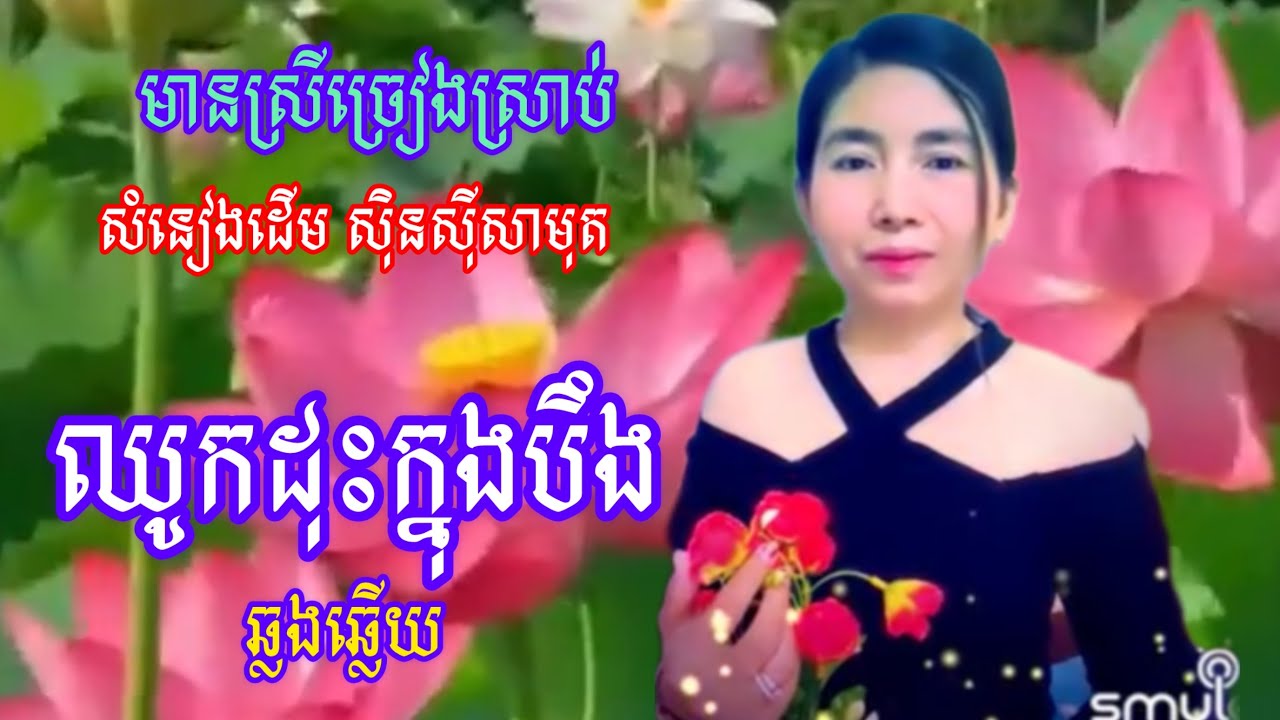 #ឈូកដុះក្នុងបឹង (ឆ្លងឆ្លេីយ) #ឆ្លងឆ្លេីយមានស្រីស្រាប់ #ខារ៉ាអូខេkaraoke #nitasereyroth