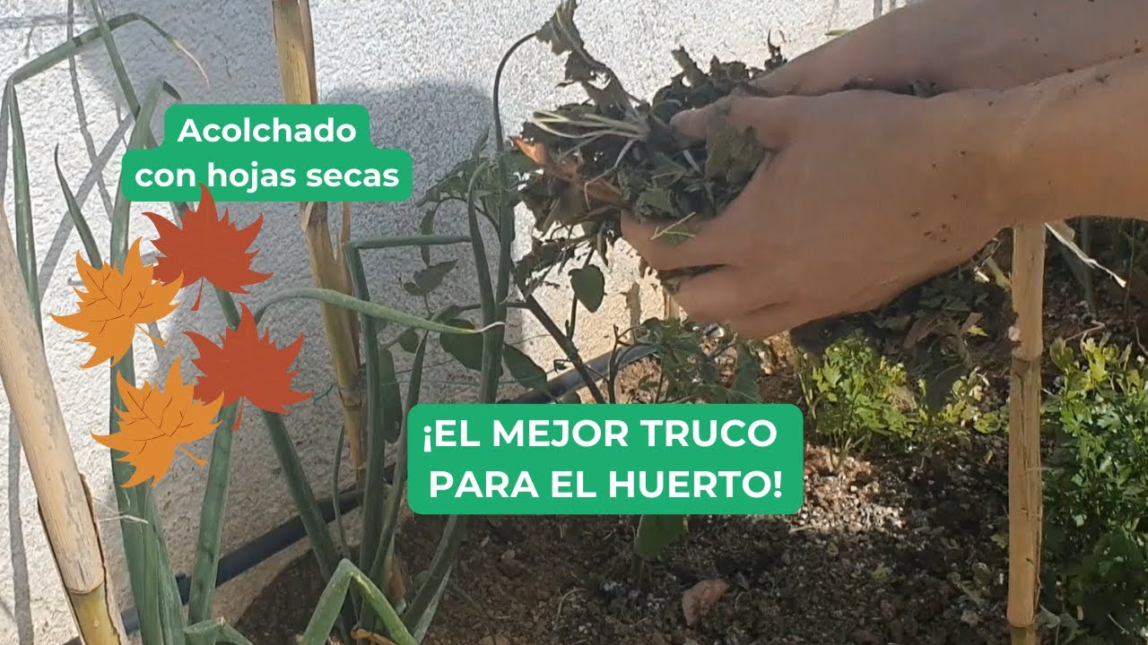C&oacute;mo hacer el MEJOR ACOLCHADO con HOJAS SECAS 🍂