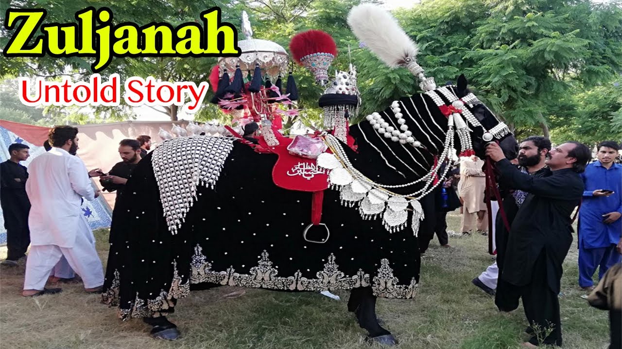 Zuljanah DulDul Badshah / Zuljanah
