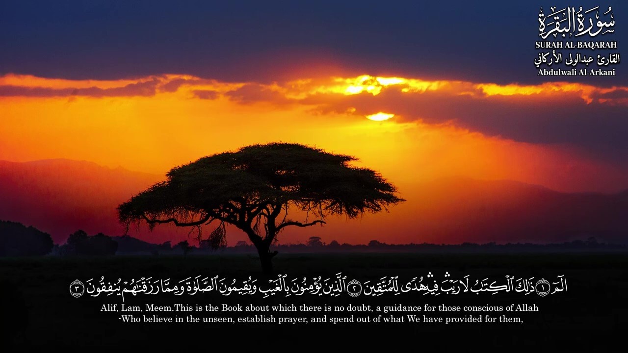 سورةالبقرة #صوت خاشع وقلب باكي انها سنام القرآن ورقية من كل شربإذن الله وسعه وبركه في العمر والرزق