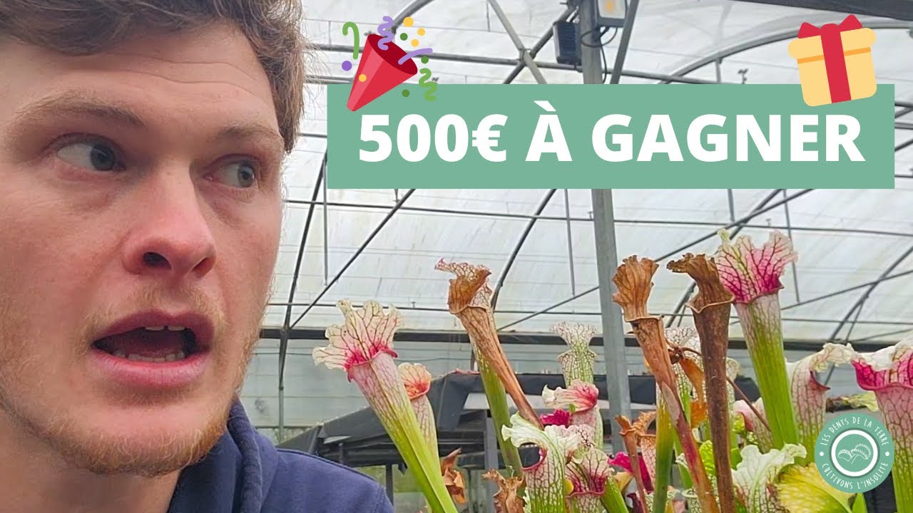 Ma Chaîne YouTube à 6 ans ​🎂​! J'ai décidé de vous en faire profiter 🎁