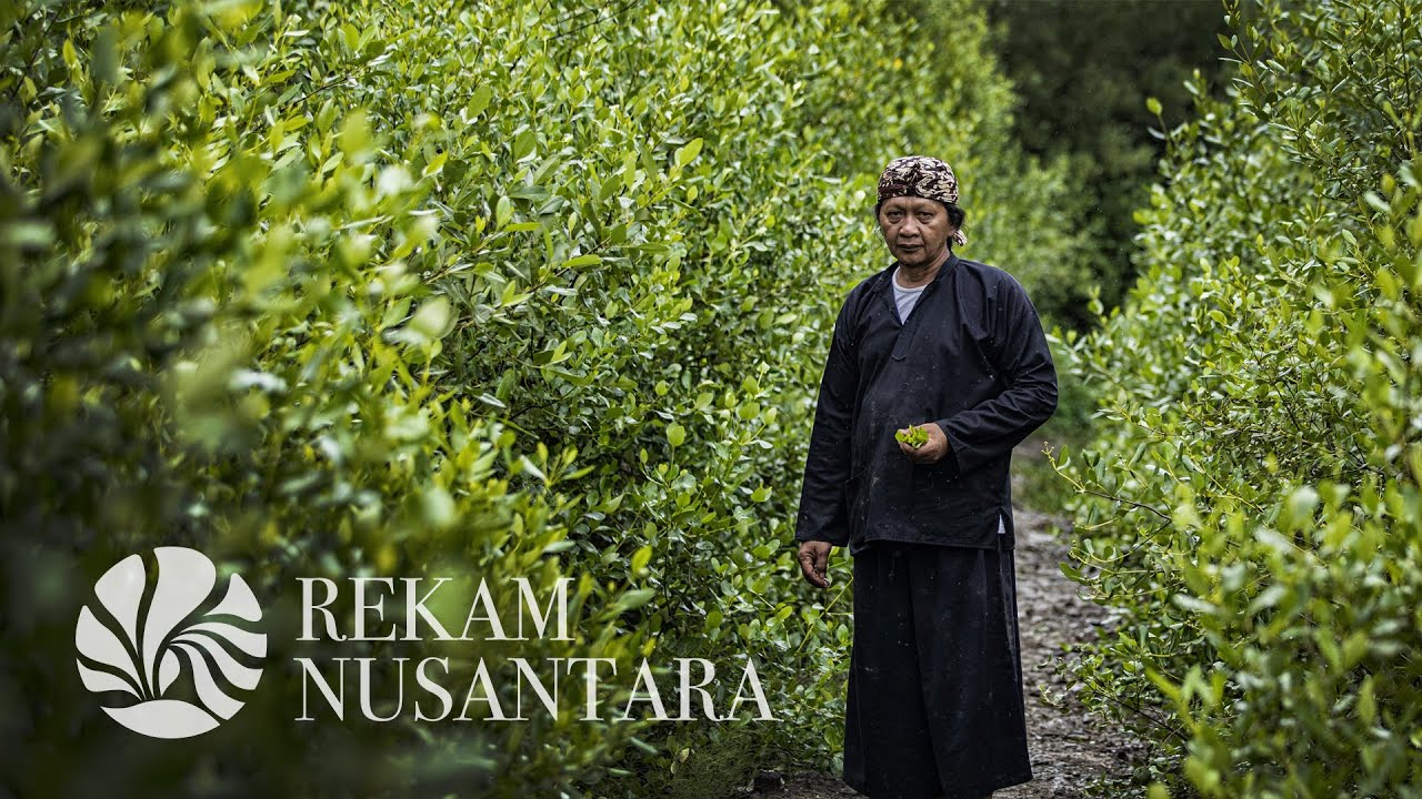 #WanaParahita Eps 02: Mewujudkan Mimpi Melalui Mangrove