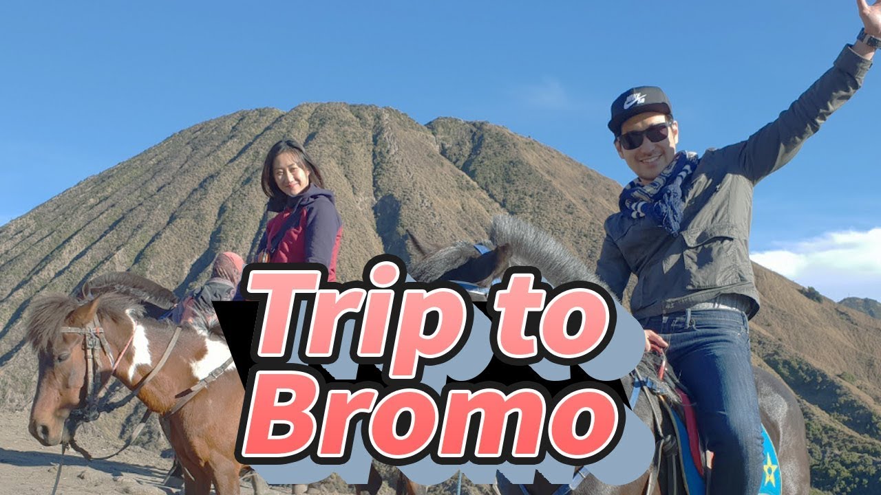 Trip to Bromo!
