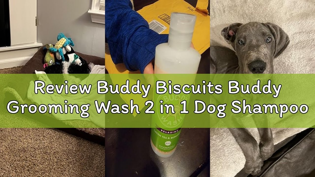 Review Buddy Biscuits Buddy Grooming Wash 2 in 1 Dog Shampoo, Lavender & Mint, 16 oz. Bottle