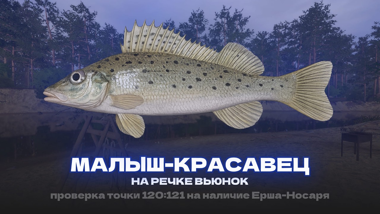 ЕСТЬ ЛИ ШАНС НА ТРОФЕЙФНОГО ЕРША-НОСАРЯ?! ПРОВЕРКА ТОЧКИ И ФАРМА НА Р. ВЬЮНОК!