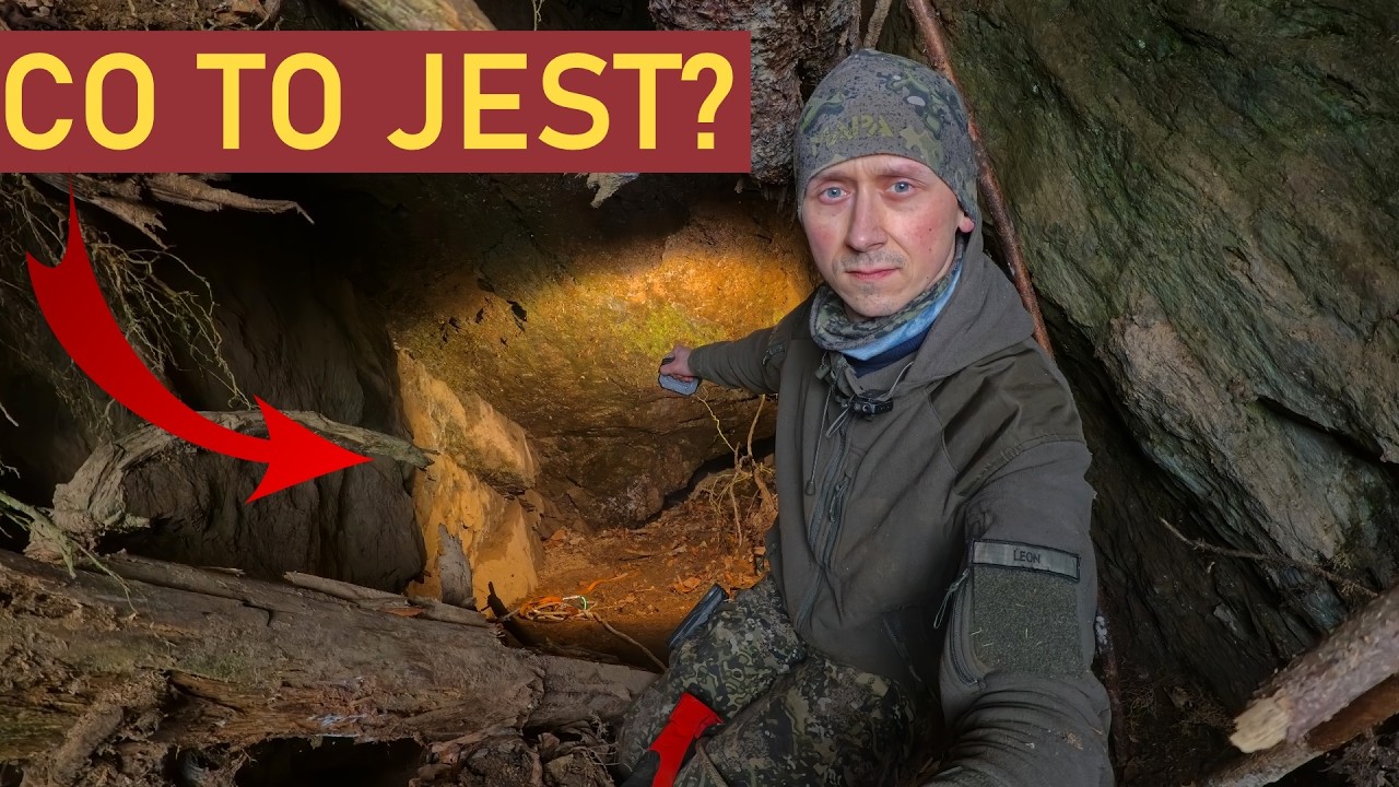 Przewrócone drzewo odsłoniło zapomniane wejście… Co jest pod ziemią?
