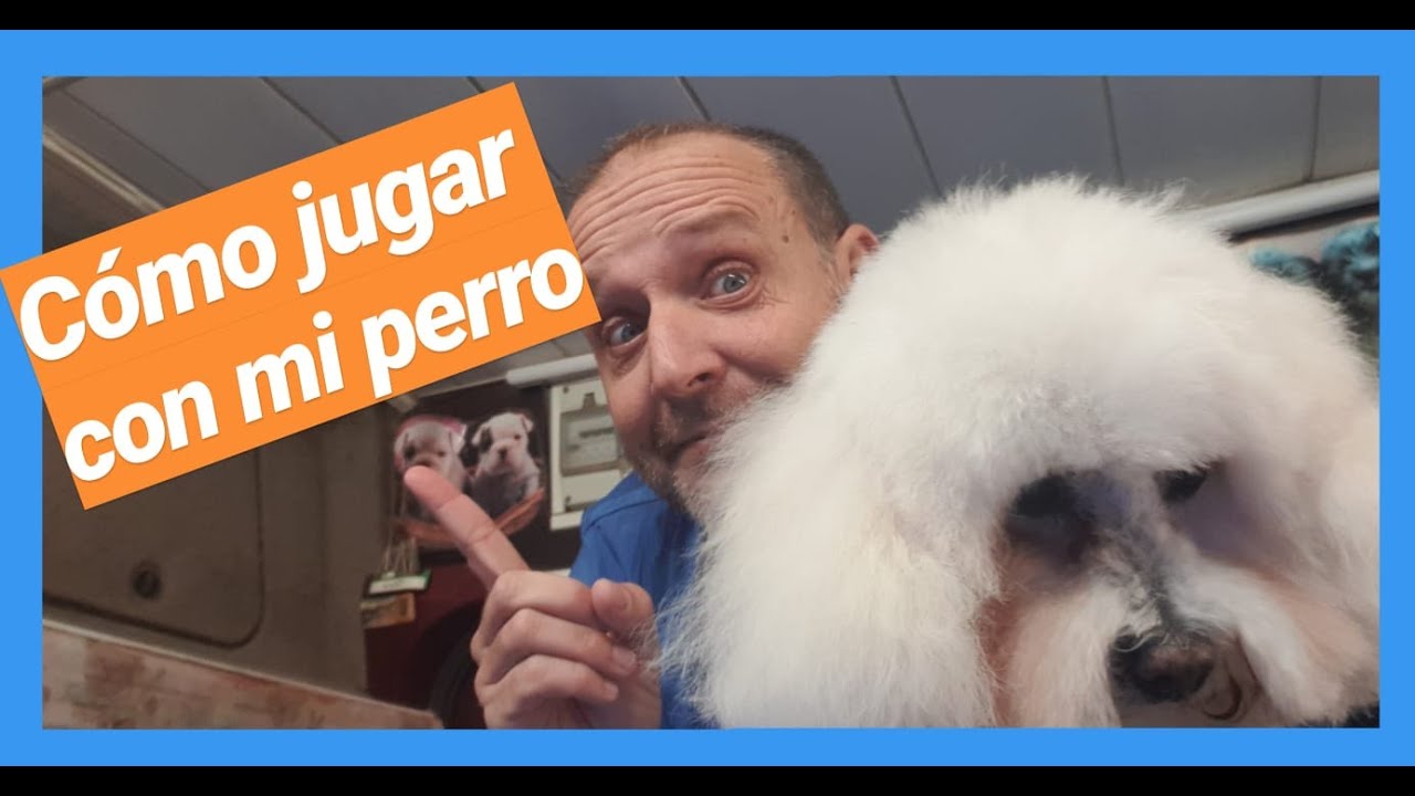 ✔️Como JUGAR⚾ con mi PERRO? 6 Tipos de juegos