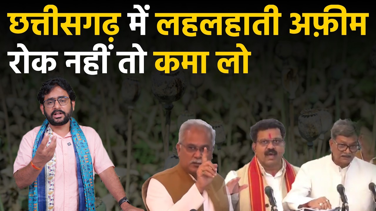 Chhattsigarh afeem farming के लिए कितना अनुकूल durg aur balrampur में पता चल गया
