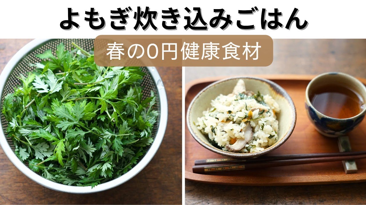 野草活用！春の栄養よもぎ炊き込みごはん/作り方/レシピ/アク抜き方法/麺つゆで簡単