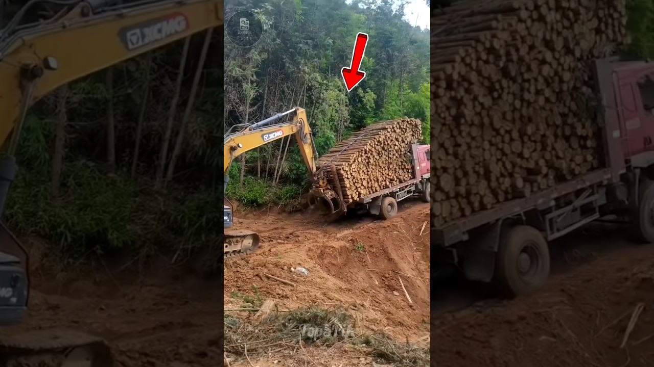 Excavator Rescuing a Stuck Truck! 😱 #shorts