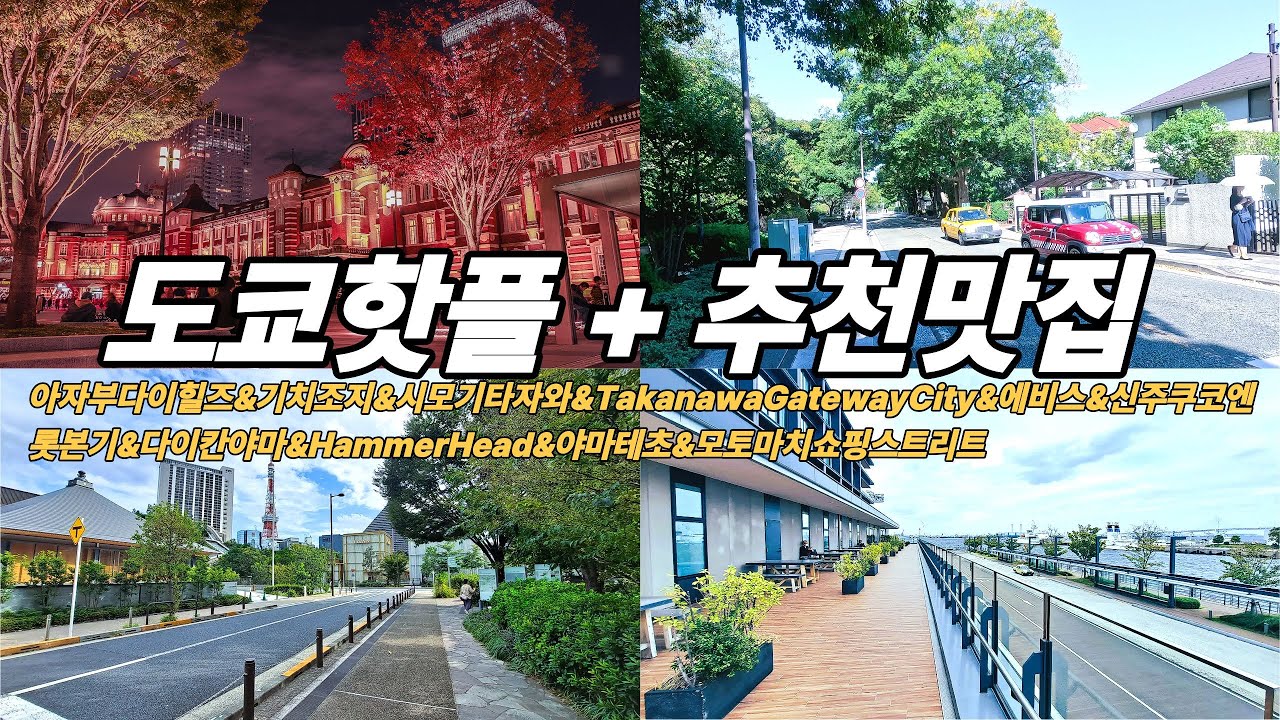 도쿄핫플 + 추천맛집 모음
