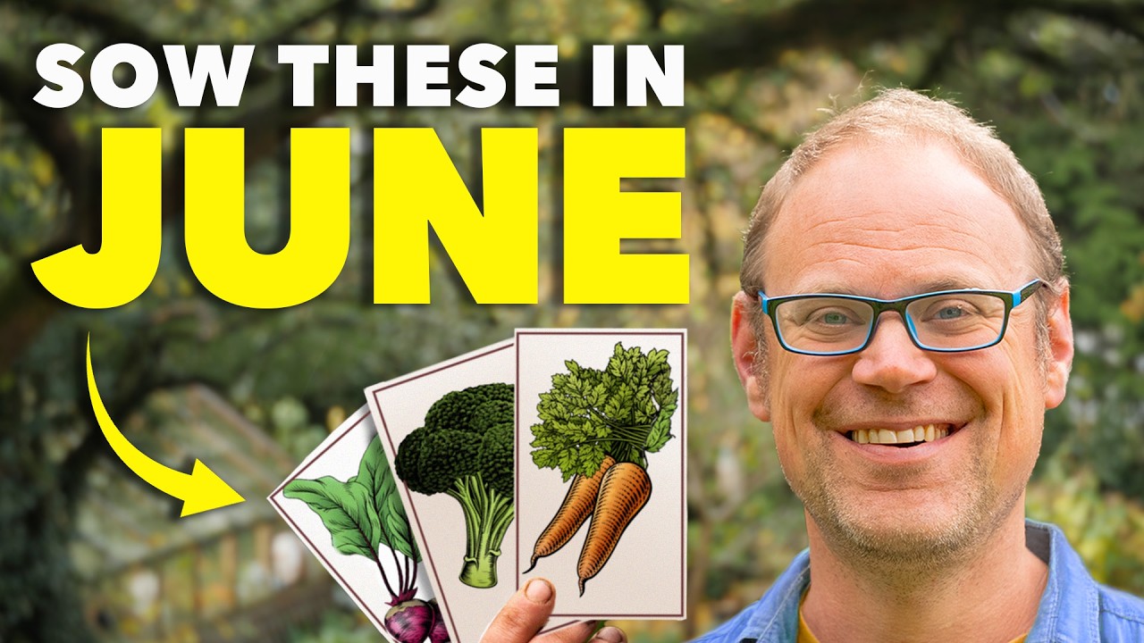Last Chance: Sow these 7 Crops in Early Summer