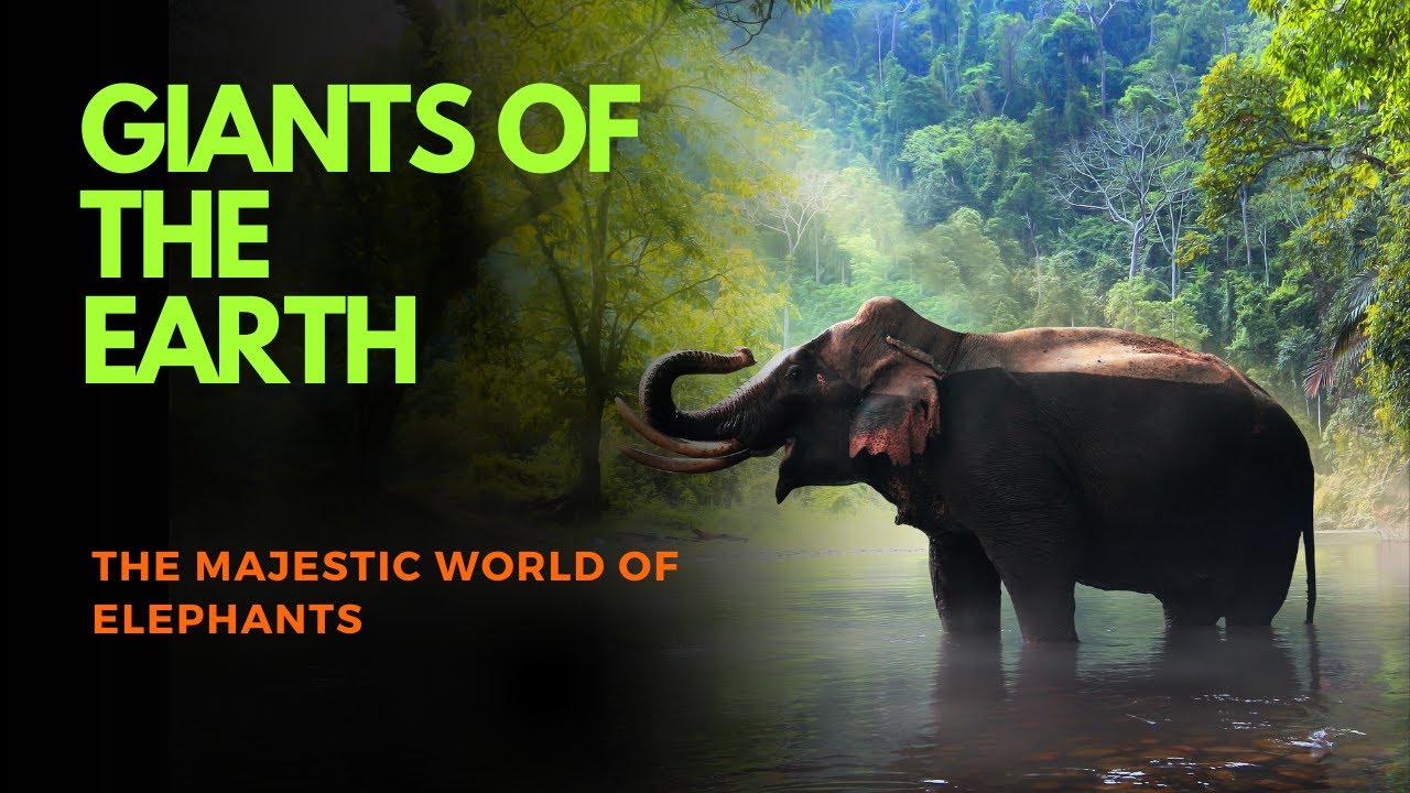 Giants of the Earth || The Majestic World of Elephants 🐘✨