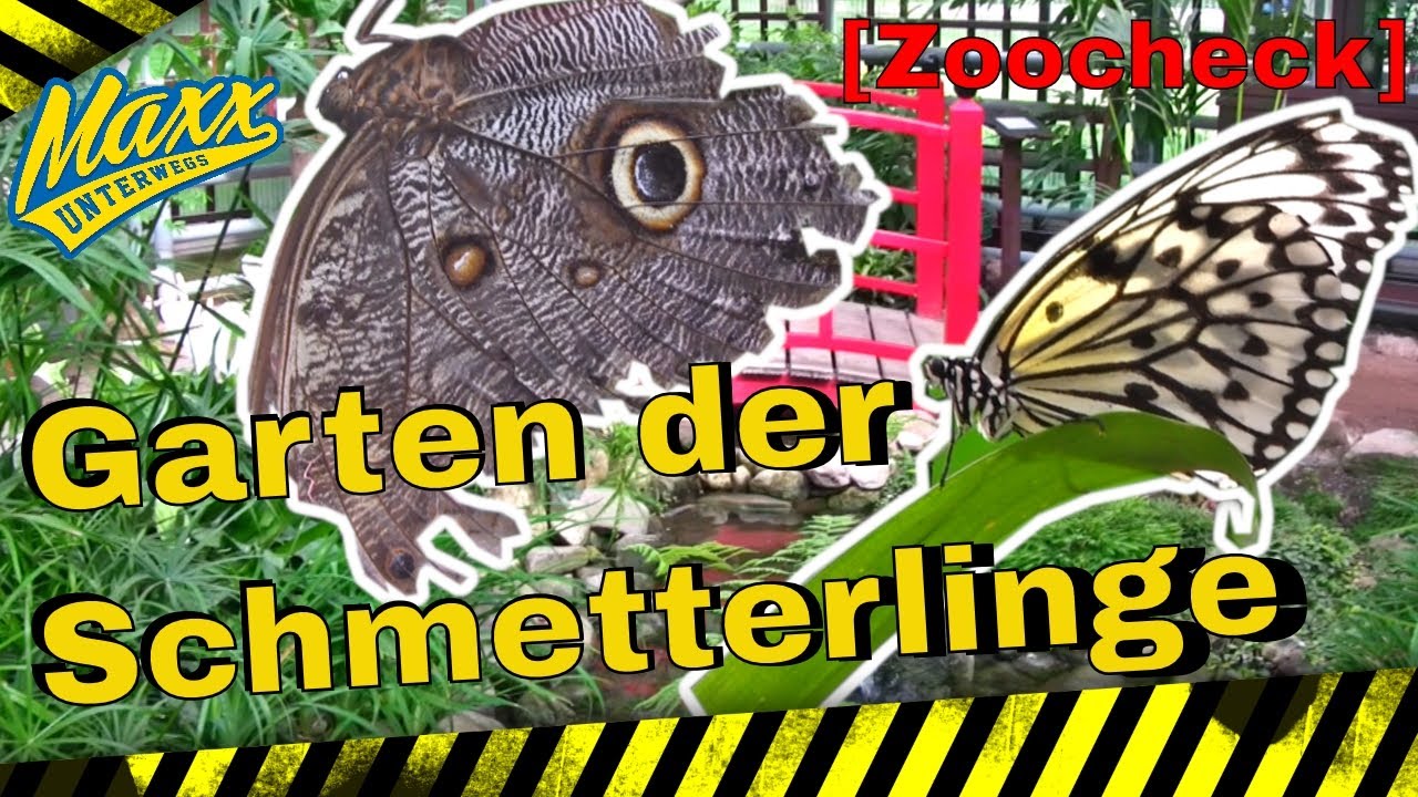 [ZooCheck] Garten der Schmetterlinge | Schloss Sayn