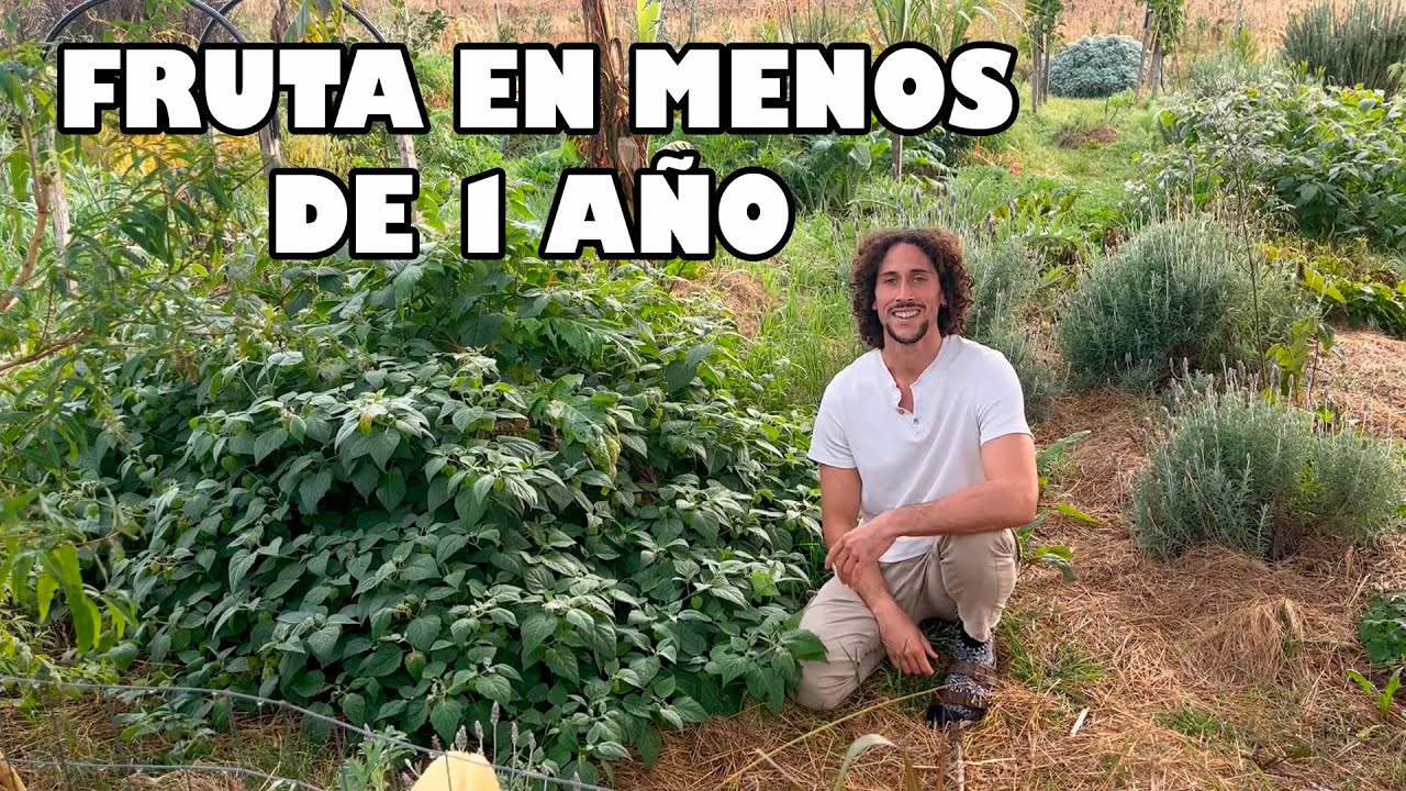La PLANTA FRUTAL que SIEMPRE DEBE ESTAR - Permacultura & Resiliencia