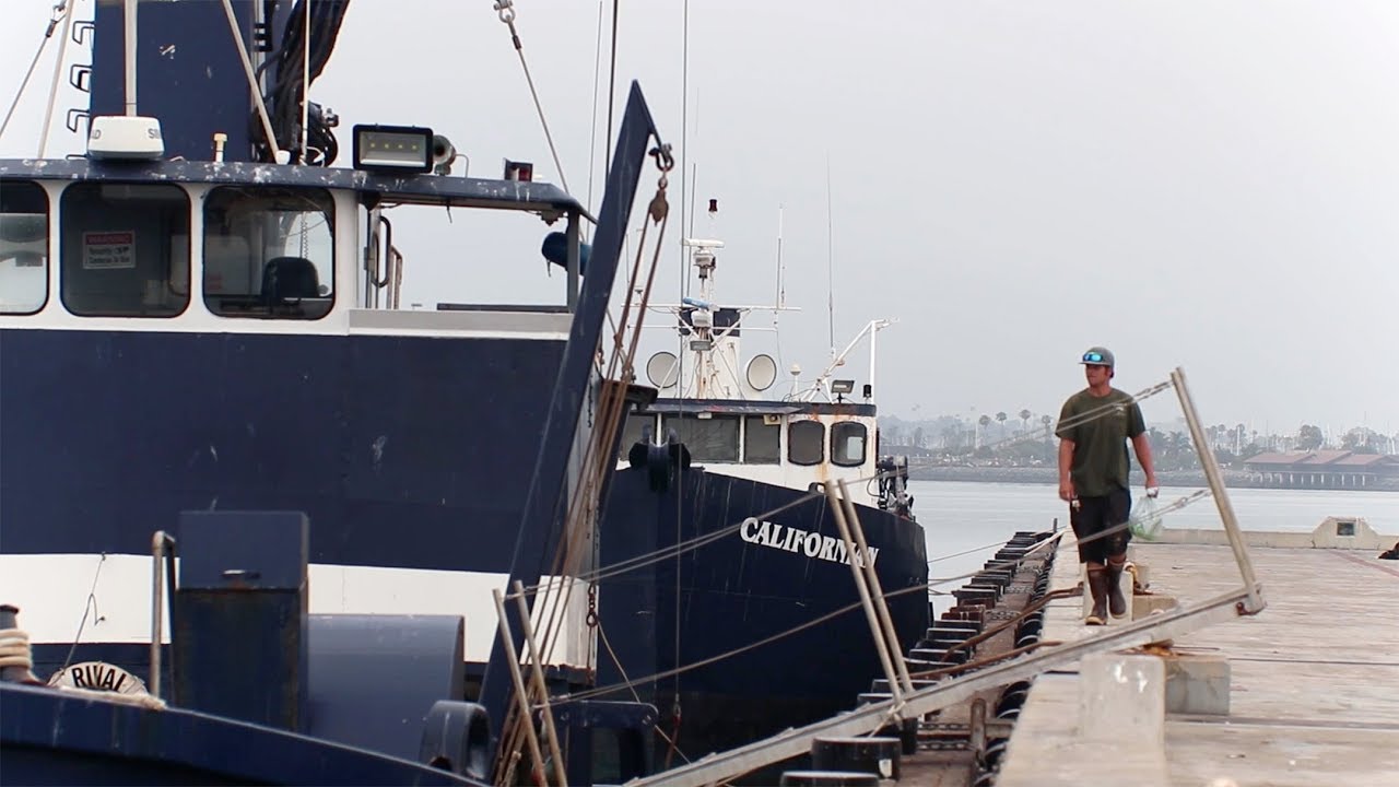 What is the California commercial fishing apprenticeship program?
