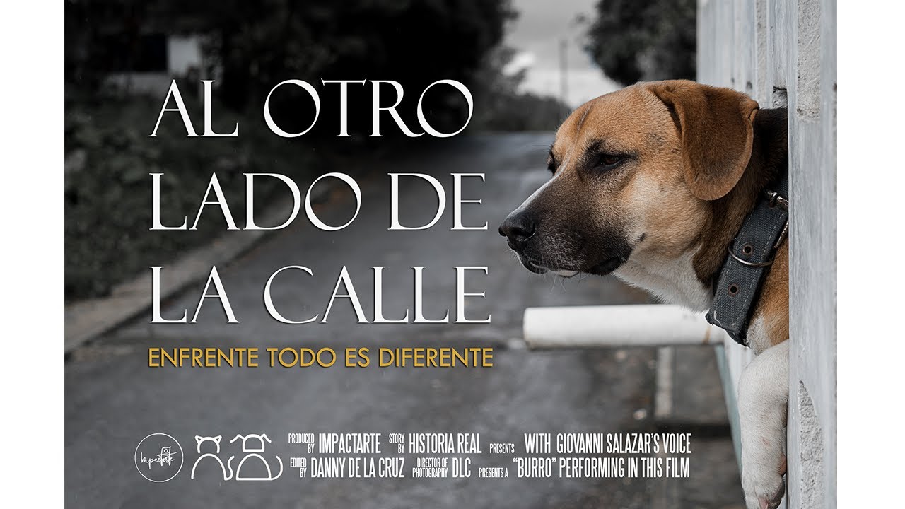 Al Otro Lado De La Calle | Cortometraje Reflexi&oacute;n Sobre El Maltrato Animal | Videos Para Reflexionar