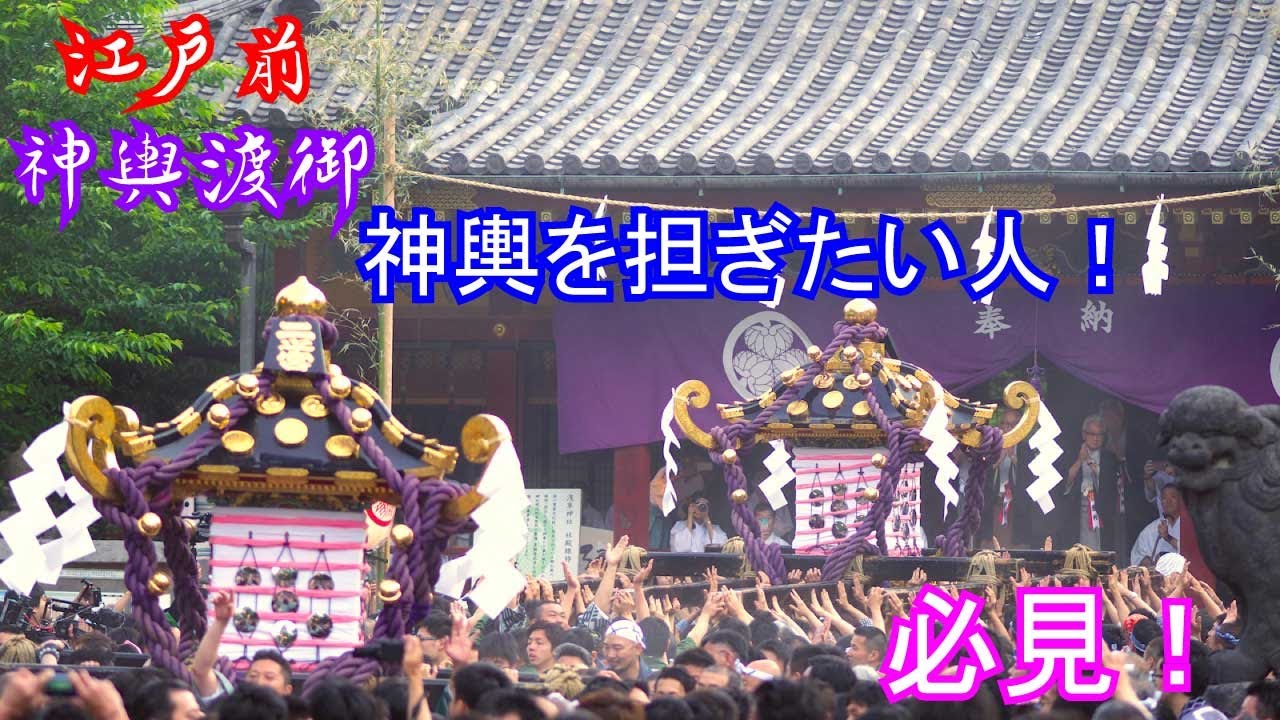 【江戸前】神輿を担ぎたい人必見！神輿渡御総集編【神輿馬鹿】保存版