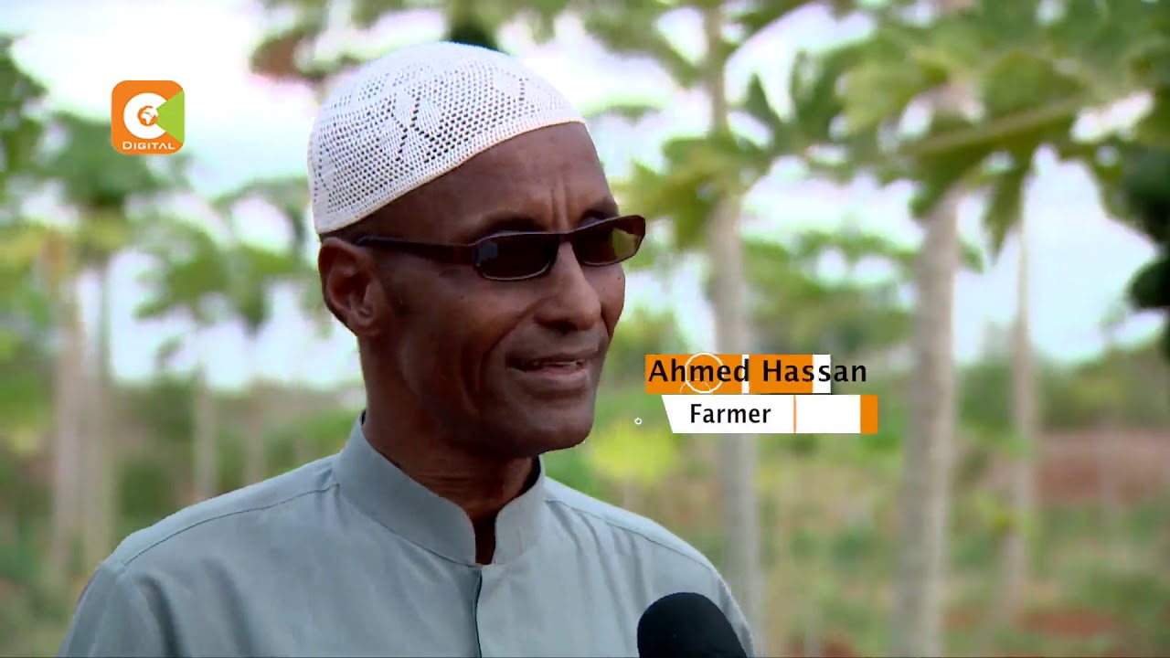 SMART FARM | Thriving farming in hot and dry Mandera