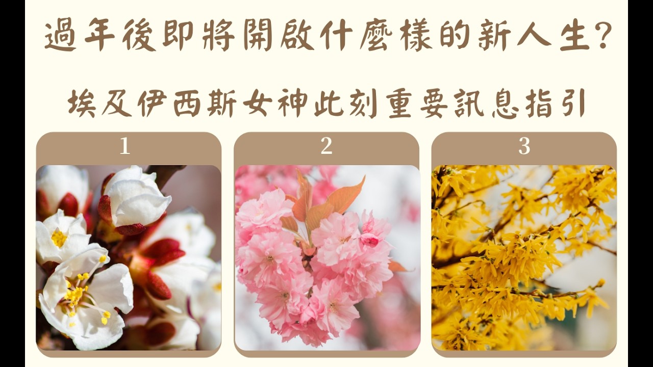 =⭐無牌卡占卜:過年後你即將開啟的新人生? 即將迎接那些新篇章?埃及伊西斯女神訊息指引--傳訊占卜--(無時間限制)我是台派我反共，台灣加油!