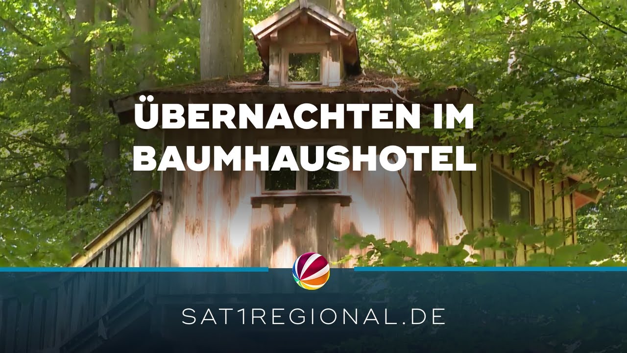 Baumhaushotel Solling: Übernachten in luftiger Höhe
