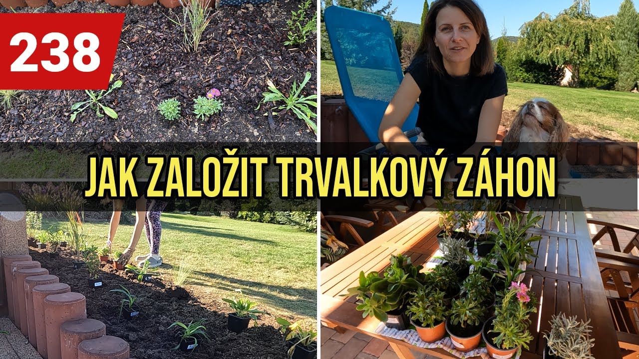 ZAKLÁDÁM TRVALKOVÝ ZÁHON | RADY A TIPY PRO ZAČÁTEČNÍKY | MŮJ POSTUP KROK ZA KROKEM | OSAZOVACÍ PLÁN