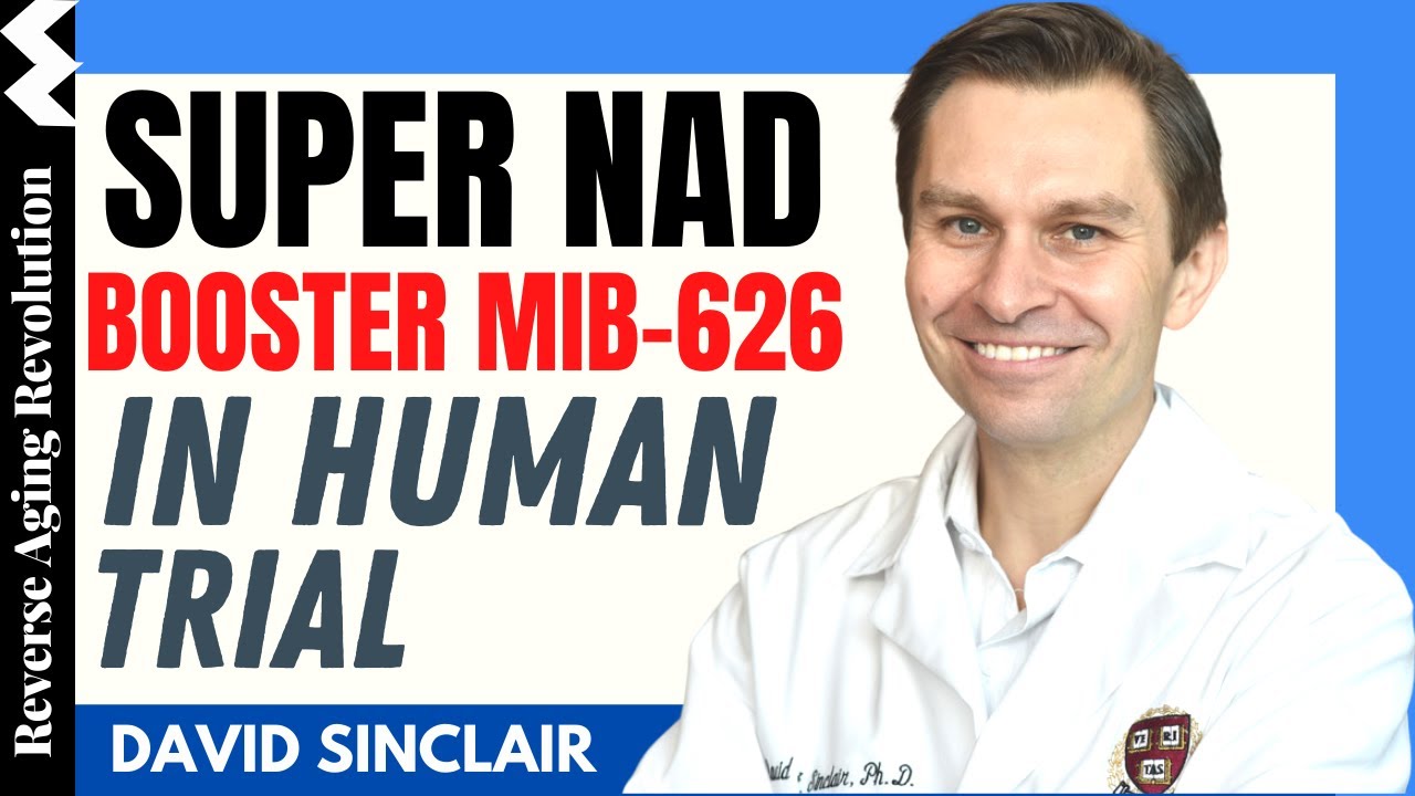 DAVID SINCLAIR &ldquo;Super NAD Booster MIB-626 In Human Trials&rdquo; | Dr David Sinclair Interview Clips