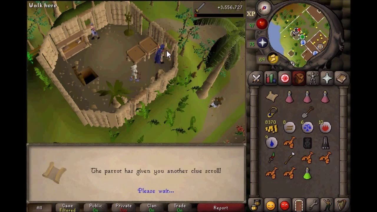 O Birdz A Zany En Pc Hard Clue Osrs2007