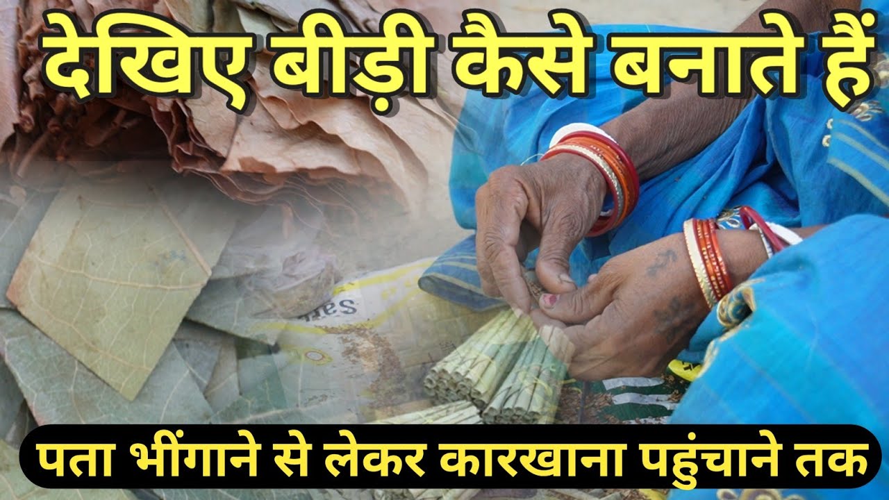 बीड़ी कैसे बनाते हैं | Bidi kaise banate hain | kutir udyog | Bidi kaise banate hen | Bidi karkhana