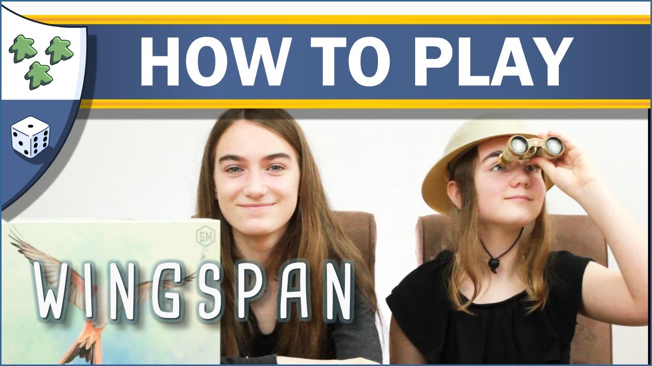 How to Play Wingspan