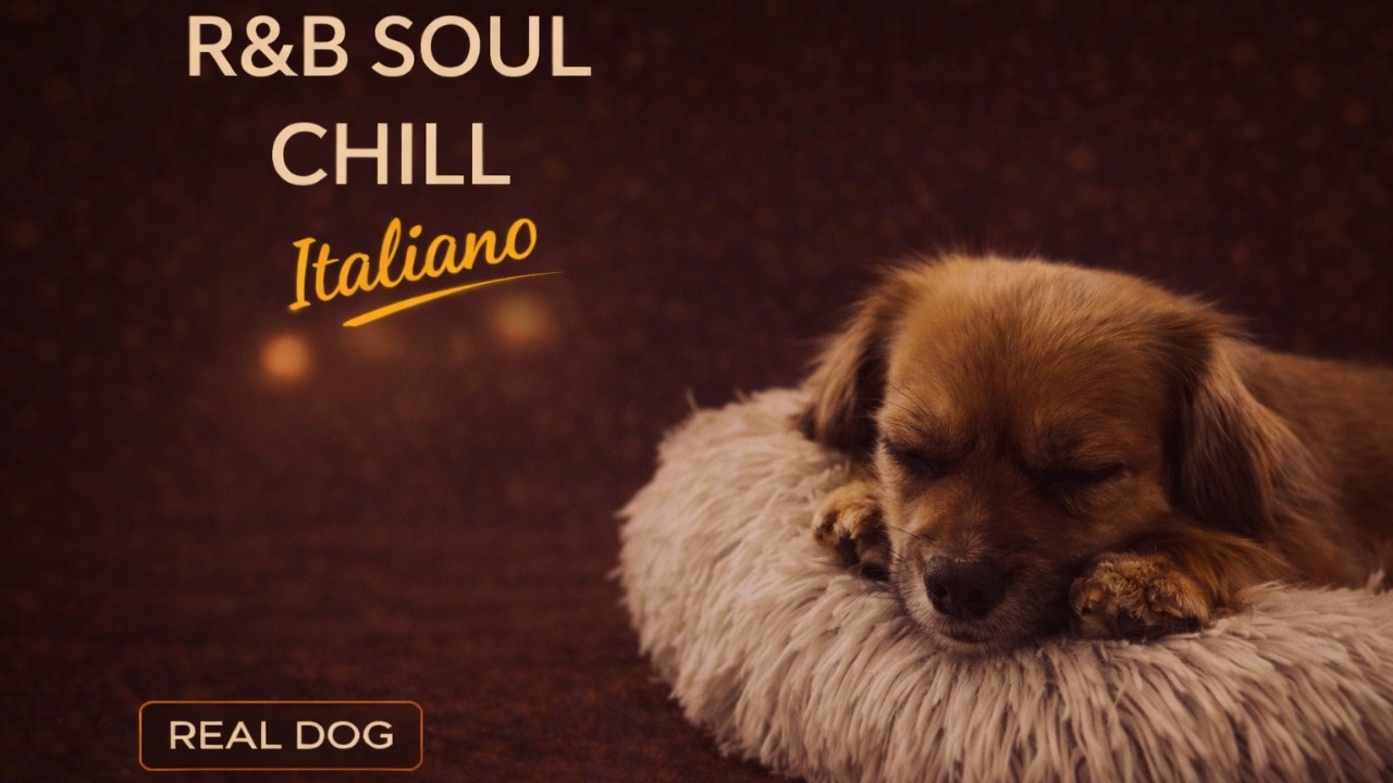 🎶Good Vibes - Italiano| Chill R&B & Soul Music with a Relaxing Dog