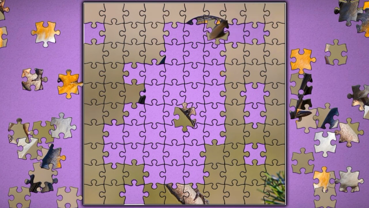 European Robin🐦🐦 jigsaw puzzle🧩🧩 || @funpuzzle1122 