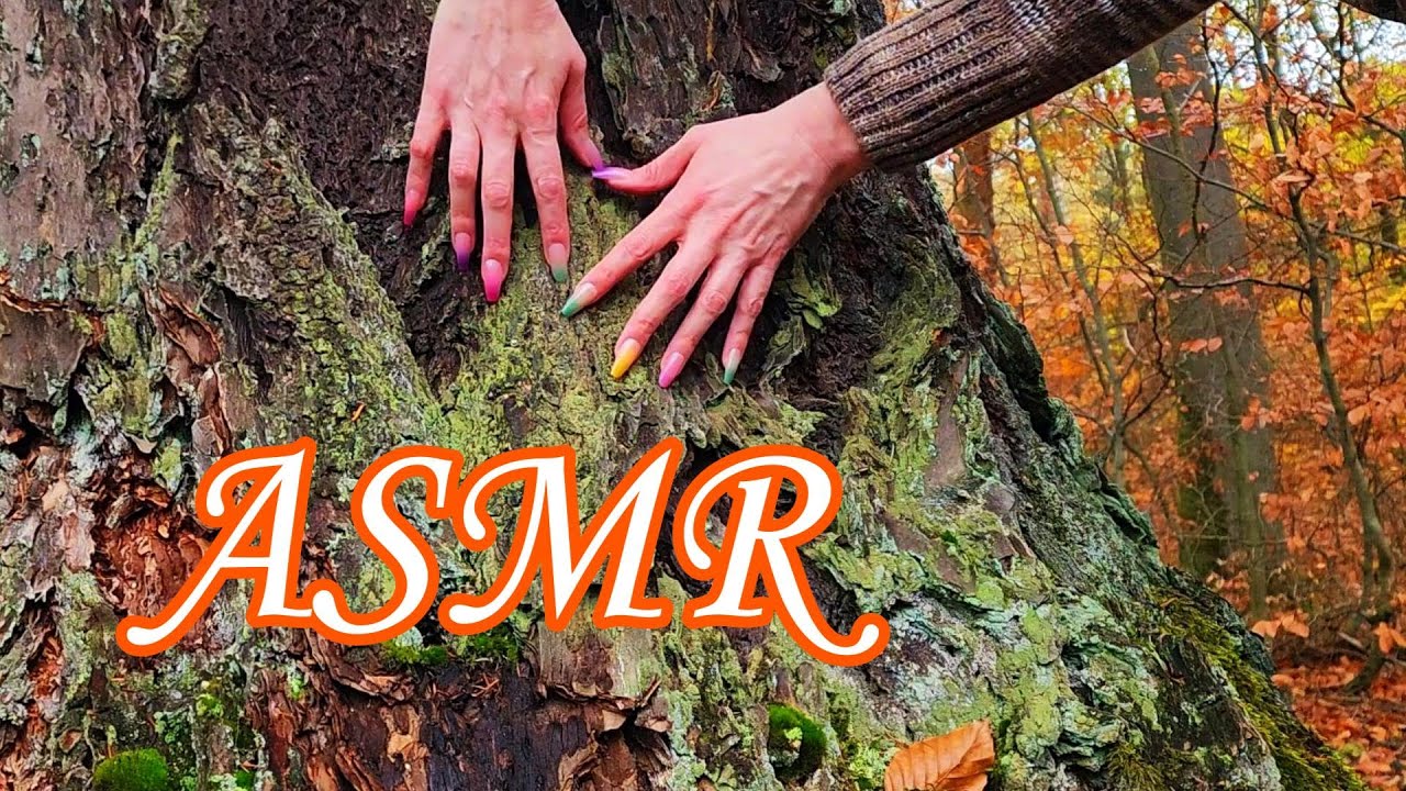 Forest ASMR 🌲 | Tree Scratching, Touching & Nature Sounds for Deep Relaxation
