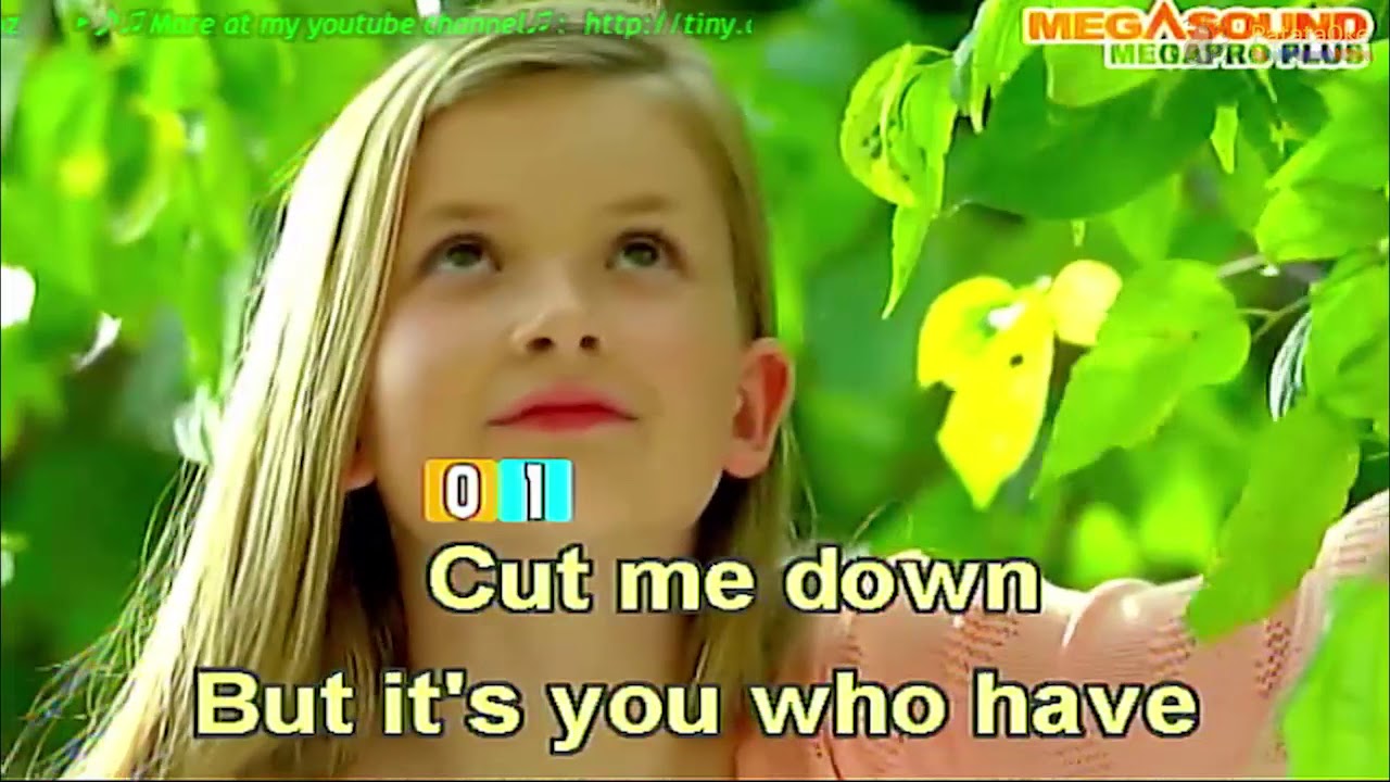 Titanium David Guetta ft  Sia Karaoke