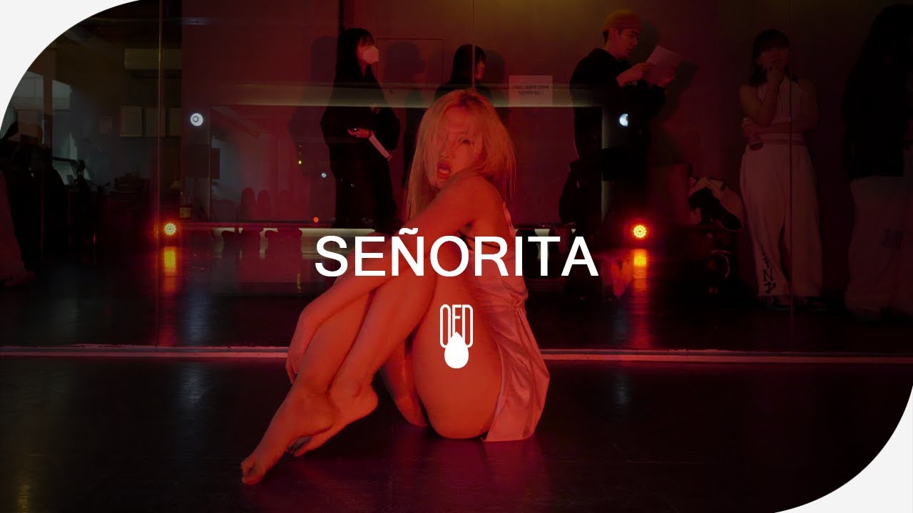 Shawn Mendes, Camila Cabello - Señorita l BIBI (Choreography)