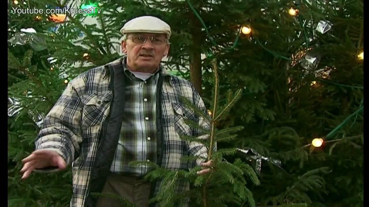 Manni Mottek Weihnachtsbaum Verkaufsstand