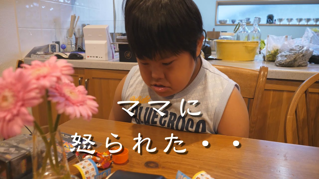 クレヨンしんちゃんのチョコエッグ開けすぎて怒られるこうちゃん