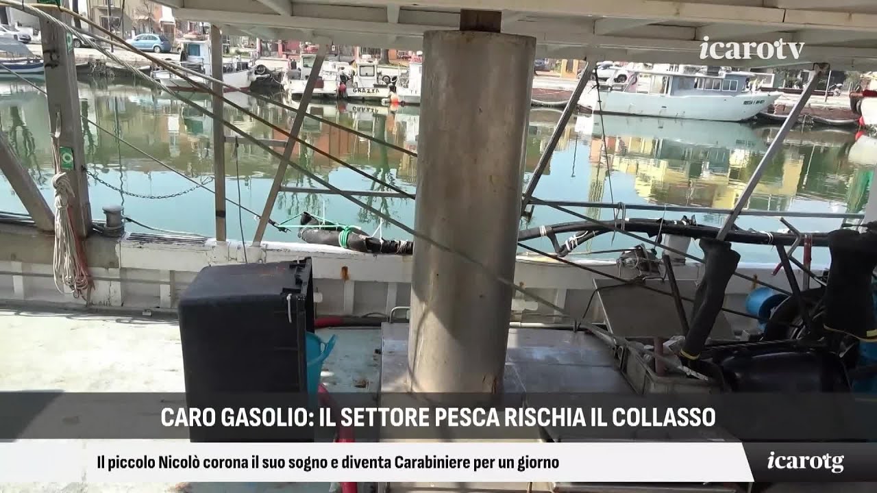 Icaro Tg - sera lunedì 9 marzo 2026