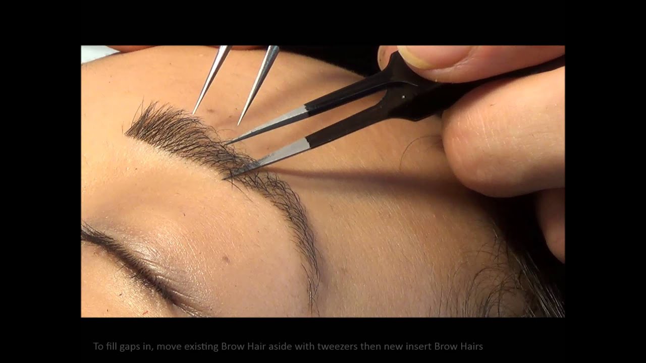 StudioLASH® Eyebrow Extensions & Eyebrow Henna