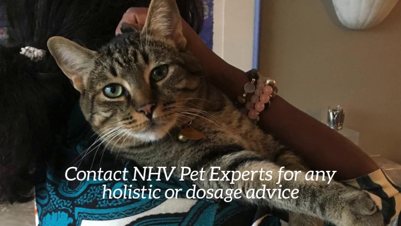 How to Give Your Pet NHV Supplements